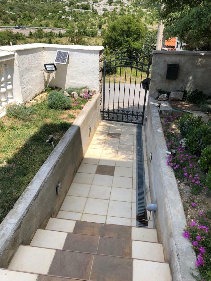 Apartmani Gabi Cesarica Extérieur photo