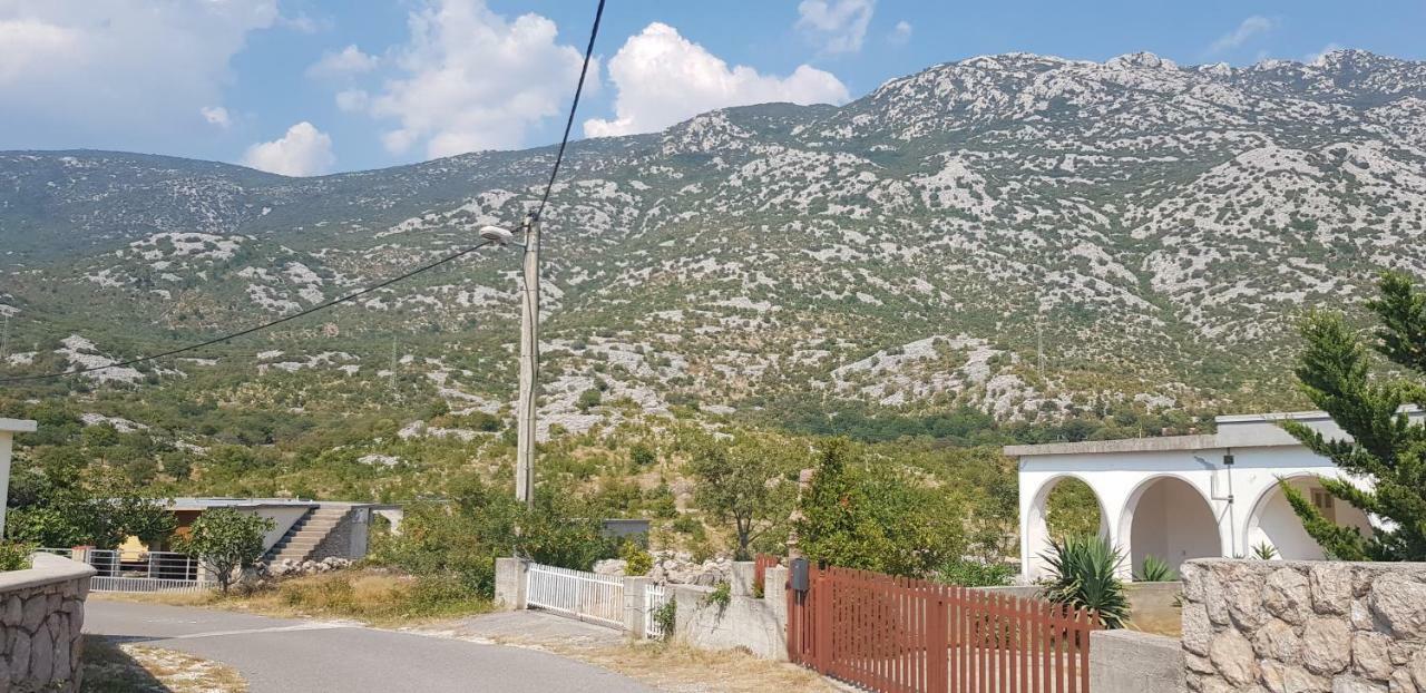Apartmani Gabi Cesarica Extérieur photo